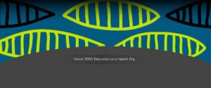 Vision 2000 Education and Health Org